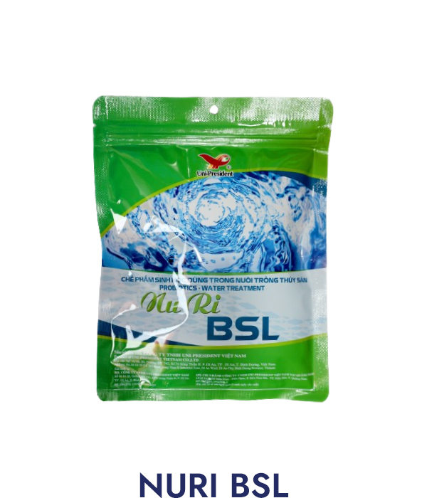 NURI-BSL
